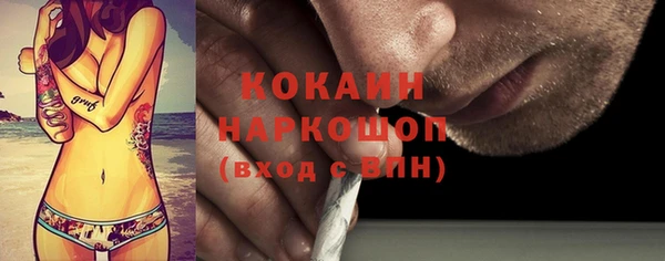 хмурый Алзамай