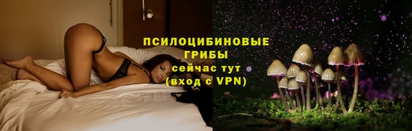 хмурый Алзамай