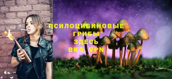 хмурый Алзамай