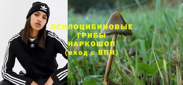 хмурый Алзамай