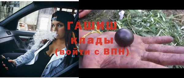 хмурый Алзамай