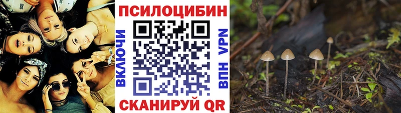 Псилоцибиновые грибы Cubensis  Купить закладки  Туймазы 